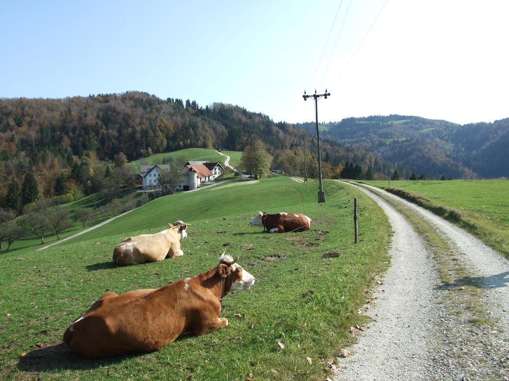 Вилла Tourist Farm Ljubica Поляне-над-Шкофьё-Локо Экстерьер фото